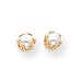 Sardelli - 14k Gold Cultured Pearl Earrings