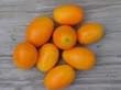 Nagami Kumquat Tree Premium Quality Topiary Five Gallon