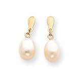 Sardelli - 14k Gold Cultured Pearl Drop Earrings