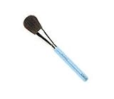 Professional Blush Brush