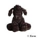 Lil Kinz Black Poodle Brand New w/ Sealed Tag Webkinz