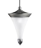 Kichler G3286NI Satin Etched Raindrops Replacement Glass for Kichler 3286 Raindrops Mini Pendant