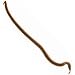 Gulp Earthworm Lure