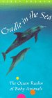 First Breath: Cradle (3pc)