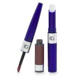 Cover Girl Outlast All Day Lipcolor, 2 Pieces, Brazen Raisin 542 - 1 ea