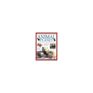 animal planet  discover amazing facts about wild animals  from how they live