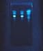 Chromatography of Drosophila Eye Pigments Activty