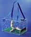 Acrylic Bird Travel Carrier - Crystal Flight CS2 15