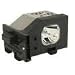 Electrified TY-LA1000 Replacement Lamp with Housing for Panasonic TVs