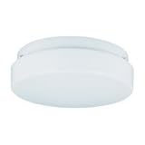 7925-15 - SeaGull Lighting Single-Light Fluorescent Ceiling Fixture