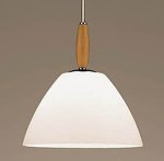 Panasonic �t�H���A �m���y���_���g�����v LB13038