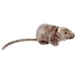 Ty Beanie Babies - Tiptoe the Rat