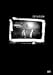 De/Vision - Pictures of the Past  (non Unplugged) von De/Vision - alle Infos