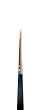 Professional Make-Up Brush Size 000