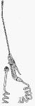 Hudson Walk-n-Watering Wand with 45-Foot Coil Hose #69645