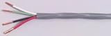 18 AWG 4C Carol Architectural Speaker Cable 100 ft. CMR