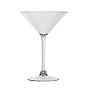 Acrylic 10 Ounce Martini Glass