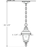 Hanover Lantern B2420LBR Plymouth Small 1 Light Outdoor Hanging Lantern in Landscape Brown with Clear Beveled Glass glass