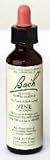 Bach Flower Essence - Vine