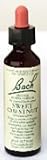 Bach Flower Essence - Sweet Chestnut