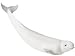 Safari: Beluga Whale