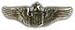 Senior Pilot Wings Small Pin