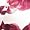 Pink Mix