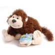 Webkinz Cheeky Monkey