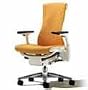 Embody Chair by Herman Miller - Home Office Desk Task Chair with Adjustable Arms - White Frame Titanium Base Pumpkin Rhythm Fabric