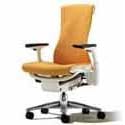 Embody Chair by Herman Miller - Home Office Desk Task Chair with Adjustable Arms  White... by Herman Miller Embody Chairs
