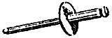 M5 Ford Bumper Rivet (15 count)