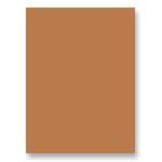 Riverside Paper Tru-Ray(R) Construction Paper, 18in. x 24in., Warm Brown