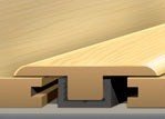 T-Molding