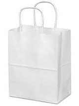 White Handled Bag - Gift Bag - Paper Bag: Set of Six (6)