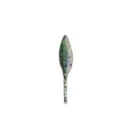 Rainbow Trout 1.5 Tiny Shad-SA01332