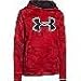 Under Armour Big Boys' UA Storm Armour Fleece Big Logo Blocked Hoodie (Youth)