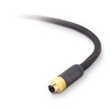 Belkin PureAV AV21100-06 6-Foot S-Video Cable