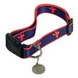 Sporty K9 Boston Red Sox Pet Collar - Navy Medium/Large