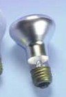 Spot-Gro Plant Bulb
