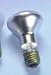 Spot-Gro Plant Bulb Image