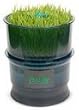 Tribest FreshLife Sprouter - Automatic Wheatgrass & Sprouter System
