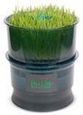 Tribest FreshLife Sprouter - Automatic Wheatgrass & Sprouter System