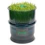 Seed sprouter automatic watering 3 to 4 times per hour