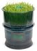 Tribest FreshLife Automatic Sprouter -- 1 Unit