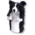 Daphne's Border Collie Headcovers