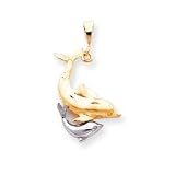 10k Two-tone Dolphin Charm