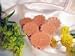 Potpourri Tartlets- Santa Spruce