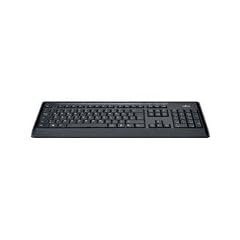 Fujitsu KB900 Tastatur USB schwarz