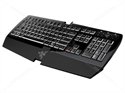 Razer Arctosa Gaming Keyboard (Silver on Black)