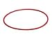 Olympus O-RING UW PPO-01 C-5050